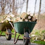 How Long Does It Take for Firewood to Dry? 5 Affecting Factors